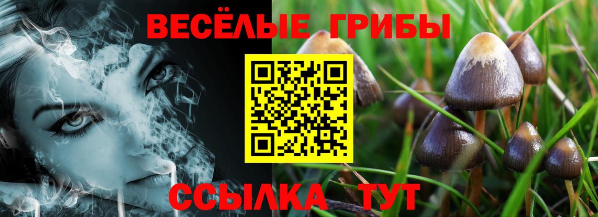 Галлюциногенные грибы GOLDEN TEACHER Подольск
